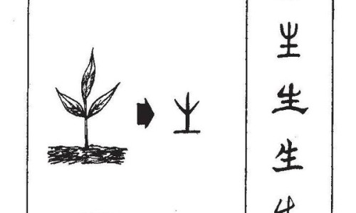 碧生源常润茶多少钱一盒?-碧生源常润茶正确喝法专区_碧生源常润茶能治便秘吗专区_碧生源常润茶的禁忌网