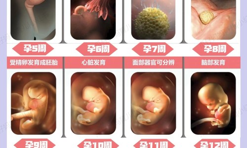 碧生源常润茶正确喝法专区_碧生源常润茶能治便秘吗专区_碧生源常润茶的禁忌网